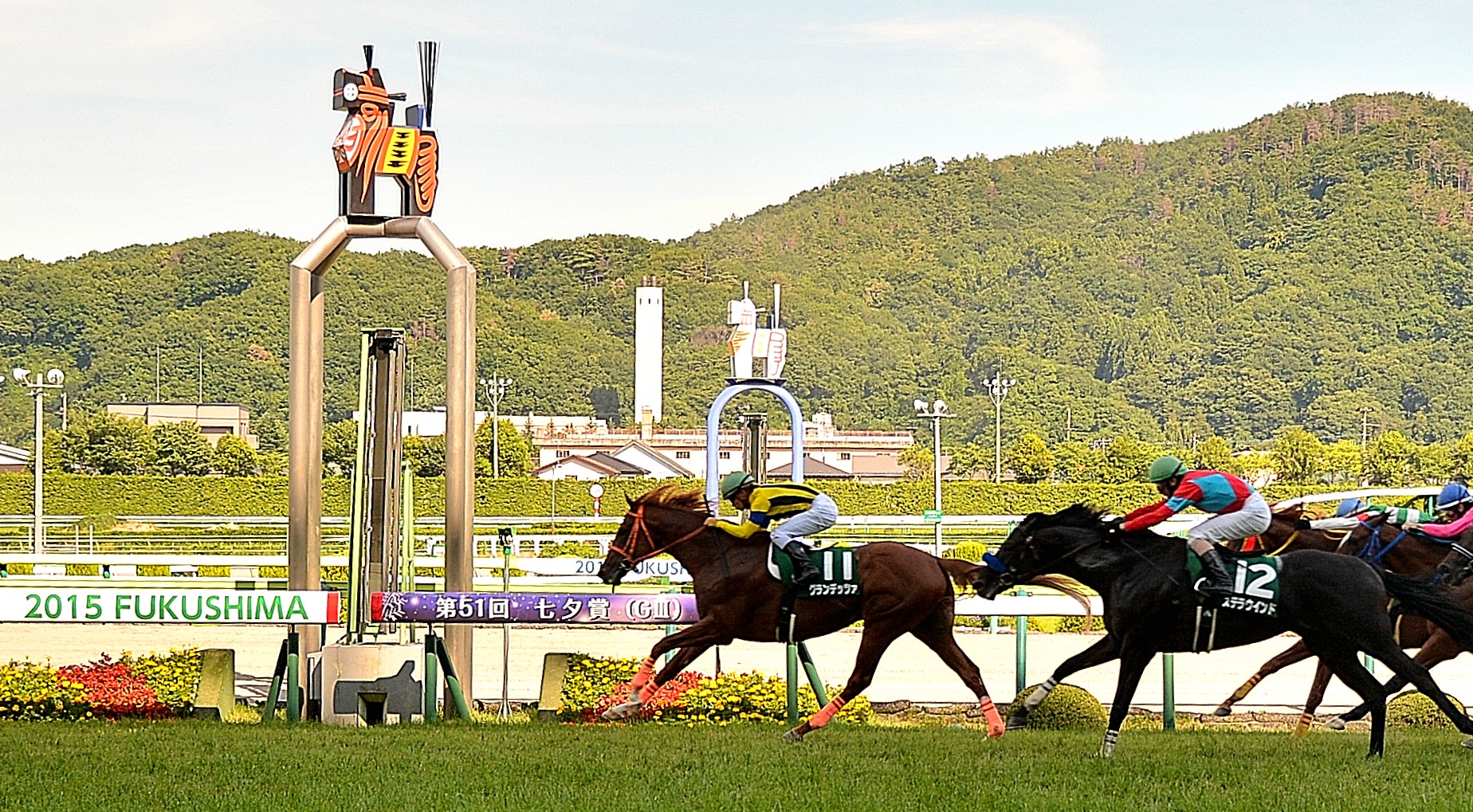 福島競馬場で馬たちがゴールへ向かう様子(2015年七夕賞)